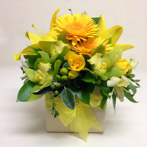 Example only.  Medium size shown.