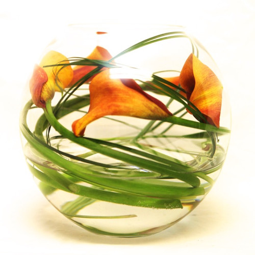 Glass Bowl Vase Amaryllis for Flowers