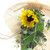 Eco Friendly Sunflower