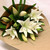  Eco Friendly White Oriental Lilies
