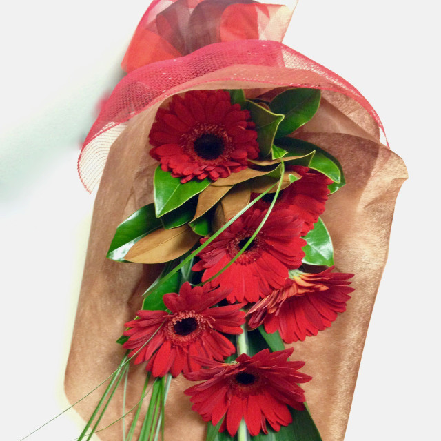 Florist Dunedin, Online Flower Shop, Flower Delivery NZ