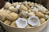 Geode Rocks with White Crystal Interior - HD305