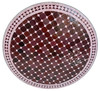 36 Inch Round Burgundy and Soft Pink Tile Table Top - MTR706