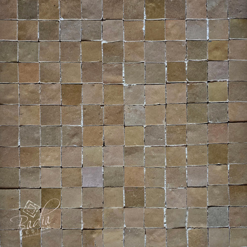 Multi-Shade Beige Glazed Zellige Tile - TM138