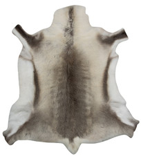 Reindeer Hide FRD003 (120cm x 115cm)