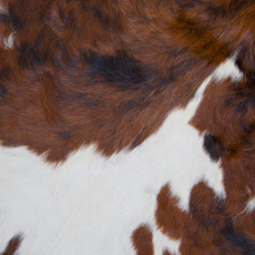 Cowhide Rug