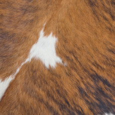 Cowhide Rug JAN23-073 (210cm x 200cm)