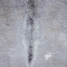 Cowhide Rug FEB23-011 (210cm x 180cm)