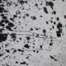 Cowhide Rug MAR23-004 (220cm x 200cm)