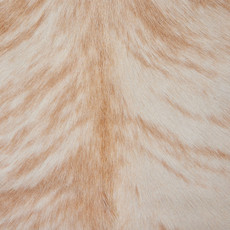 Cowhide Rug JULY23-182 (220cm x 200cm)