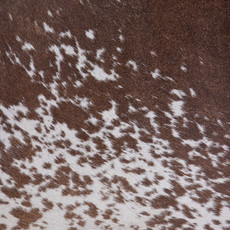 Cowhide Rug JULY23-193 (220cm x 210cm)