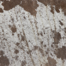 Cowhide Rug OCT23-166 (210cm x 190cm)