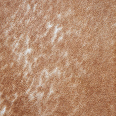 Cowhide Rug DEC23-014 (230cm x 210cm)