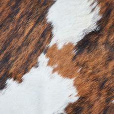 Cowhide Rug DEC23-026 (230cm x 200cm)