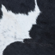 Cowhide Rug DEC23-047 (230cm x 210cm)