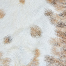 Cowhide Rug DEC23-127 (220cm x 200cm)