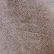 Cowhide Rug MAR24-001 (230cm x 210cm)