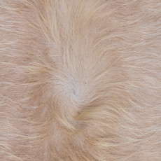 Cowhide Rug MAR24-003 (240cm x 210cm)