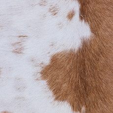 Cowhide Rug MAR24-094 (220cm x 210cm)