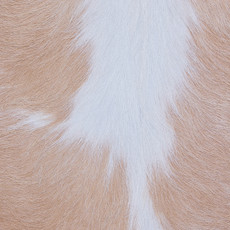 Cowhide Rug MAR24-113 (260cm x 230cm)