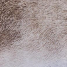 Cowhide Rug MAR24-114 (230cm x 200cm)