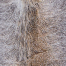 Cowhide Rug MAR24-123 (220cm x 210cm)