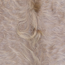 Cowhide Rug MAR24-136 (230cm x 200cm)