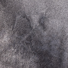 Cowhide Rug DEC24-125 (220cm x 190cm)