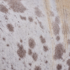 Cowhide Rug JAN25-010 (230cm x 205cm)