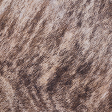 Cowhide Rug JAN25-027 (250cm x 190cm)