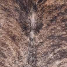 Cowhide Rug JAN25-067 (230cm x 215cm)