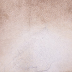 Cowhide Rug FEB25-035 (250cm x 220cm)