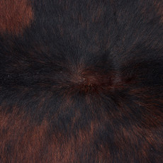 Cowhide Rug JUNE25-097 (210cm x 200cm)
