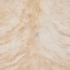 Cowhide Rug OCT25-008 (230cm x 210cm)