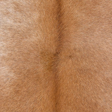 Cowhide Rug OCT25-012 (210cm x 190cm)