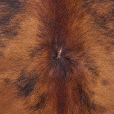 Cowhide Rug OCT25-022 (220cm x 230cm)
