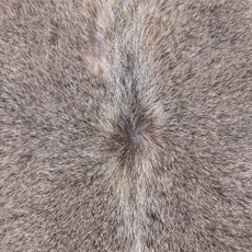 Cowhide Rug OCT25-024 (240cm x 210cm)