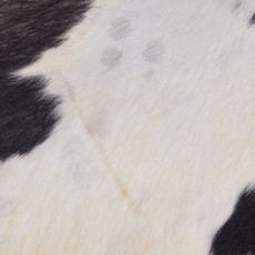 Cowhide Rug OCT25-030 (220cm x 230cm)