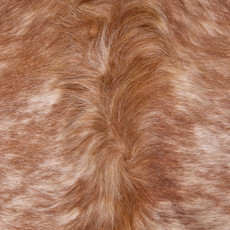 Cowhide Rug OCT25-036 (250cm x 210cm)