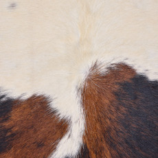 Cowhide Rug OCT25-041 (200cm x 170cm)