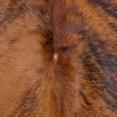 Cowhide Rug OCT25-085 (220cm x 200cm)