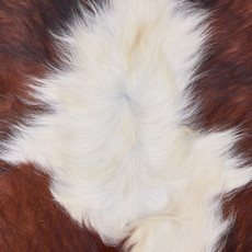Cowhide Rug OCT25-087 (210cm x 200cm)