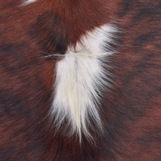Cowhide Rug OCT25-091 (210cm x 190cm)