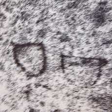 Cowhide Rug OCT25-117 (230cm x 190cm)