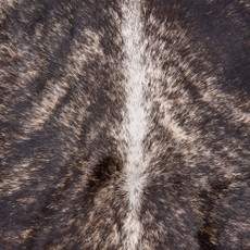 Cowhide Rug OCT25-120 (270cm x 220cm)