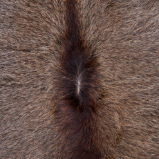 Cowhide Rug FEB26-002 (240cm x 200cm)