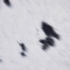 Cowhide Rug FEB26-004 (200cm x 180cm)