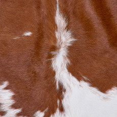 Cowhide Rug FEB26-005 (220cm x 200cm)