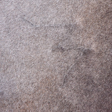 Cowhide Rug FEB26-006 (240cm x 200cm)