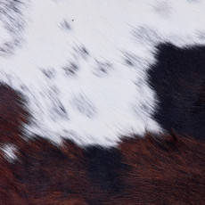 Cowhide Rug FEB26-013 (190cm x 190cm)